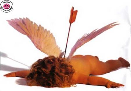 bel ange