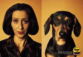 doggy